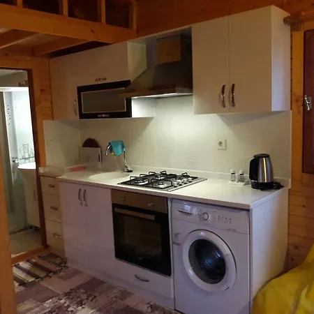 Yalili Wooden House بيت للعطل داليان